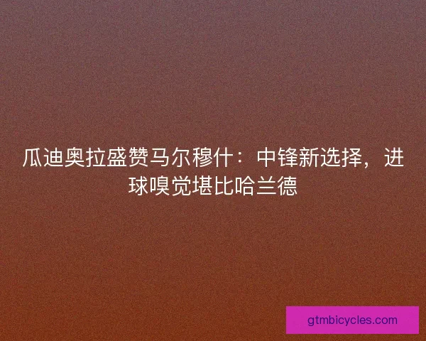 瓜迪奥拉盛赞马尔穆什：中锋新选择，进球嗅觉堪比哈兰德