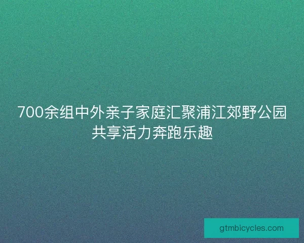 700余组中外亲子家庭汇聚浦江郊野公园共享活力奔跑乐趣